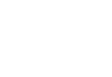 Silverstone Electric