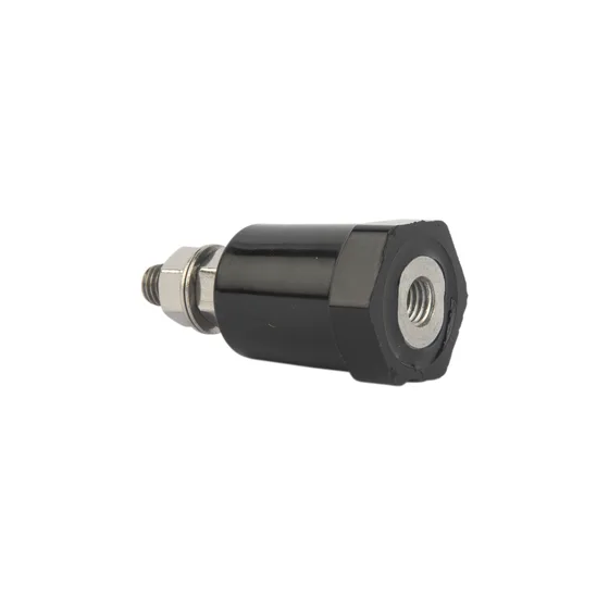 Arrester disconnector (ground-lead isolator) accessory