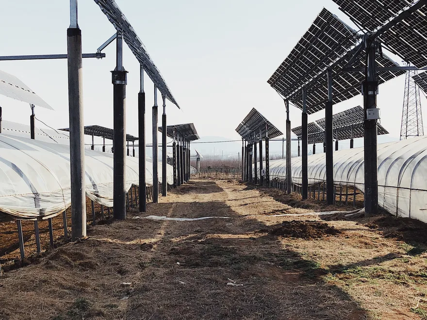 Solar panel array of a photovoltaic power plant